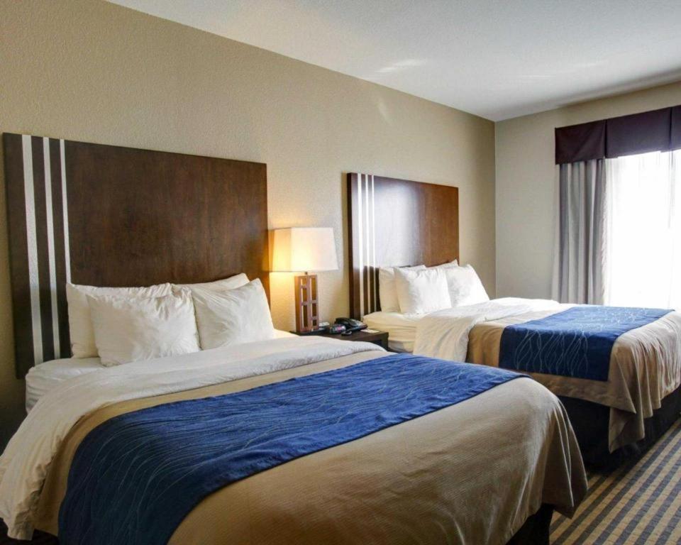 Comfort Inn & Suites Navasota Exteriér fotografie