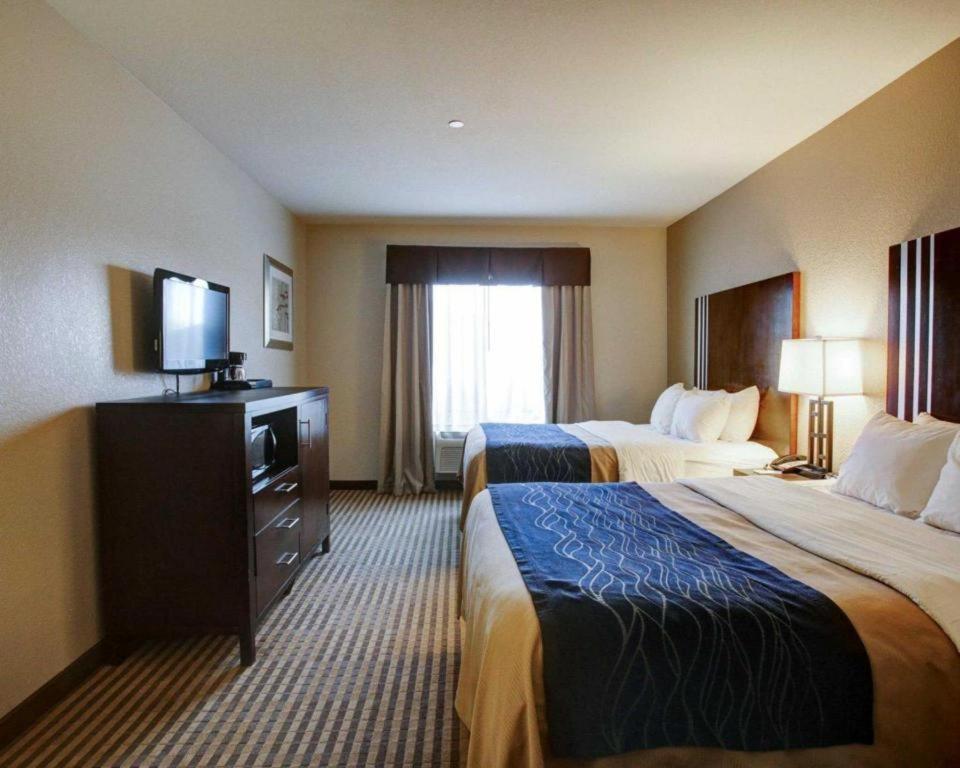 Comfort Inn & Suites Navasota Exteriér fotografie