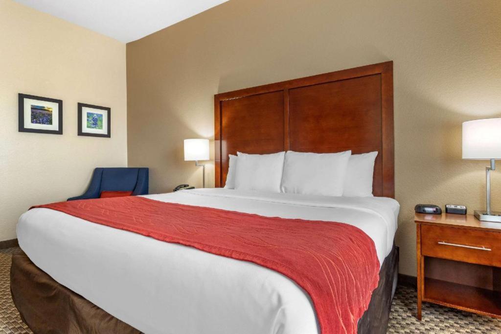 Comfort Inn & Suites Navasota Exteriér fotografie