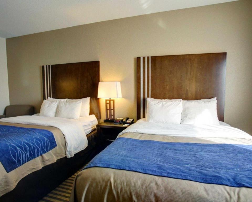 Comfort Inn & Suites Navasota Exteriér fotografie