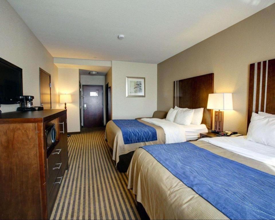 Comfort Inn & Suites Navasota Exteriér fotografie