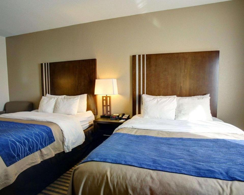 Comfort Inn & Suites Navasota Exteriér fotografie