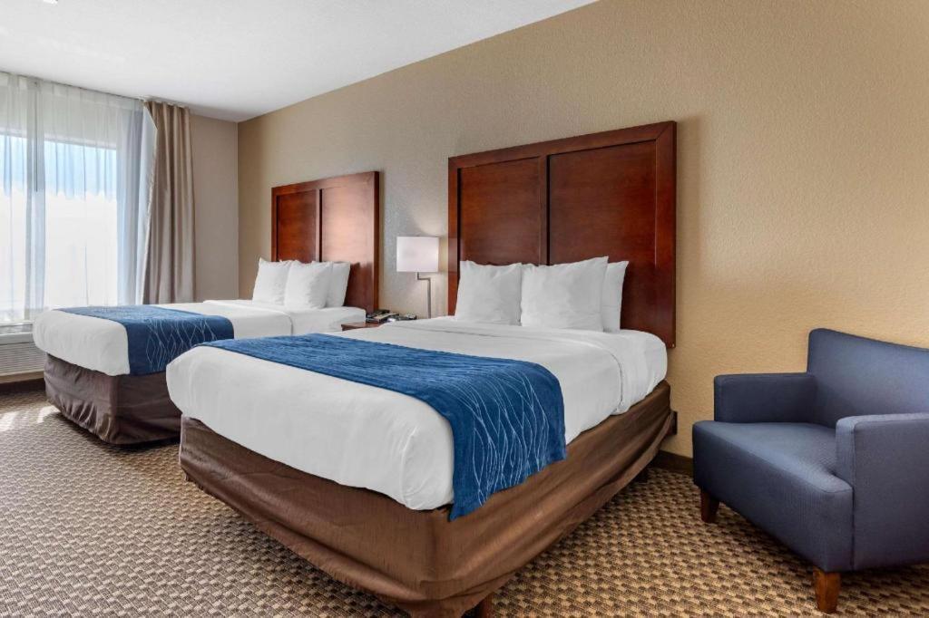 Comfort Inn & Suites Navasota Exteriér fotografie