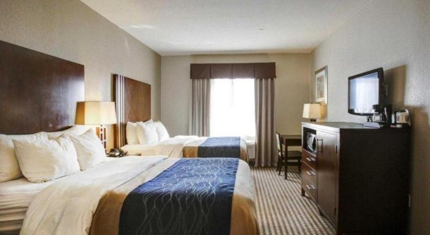 Comfort Inn & Suites Navasota Exteriér fotografie