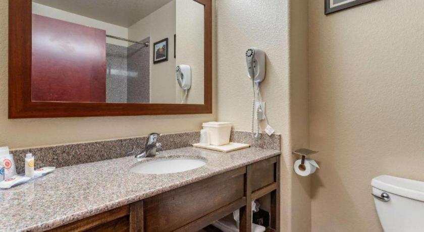 Comfort Inn & Suites Navasota Exteriér fotografie