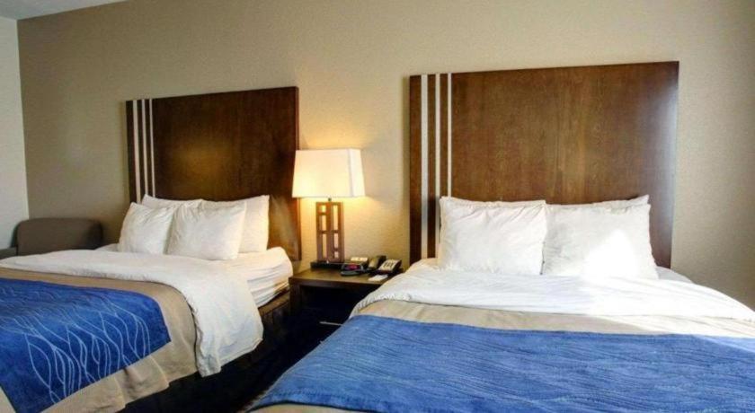 Comfort Inn & Suites Navasota Exteriér fotografie