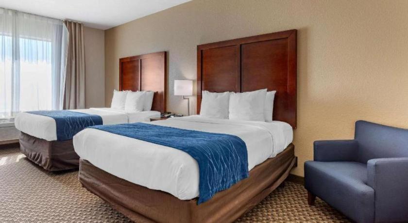 Comfort Inn & Suites Navasota Exteriér fotografie
